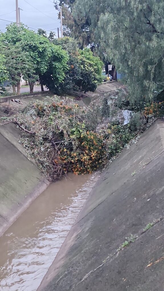 Atención inmediata a lluvias en San Pedro Cholula gracias al trabajo coordinado entre gobierno y ciudadanía
