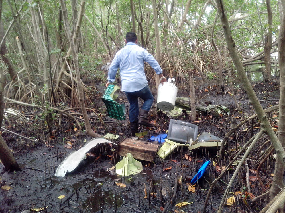 Más de 400 voluntarios recolectaron casi dos toneladas de residuos en los manglares de Chuburná, Yucatán. La jornada forma parte de una estrategia nacional de conservación y reforestación costera.