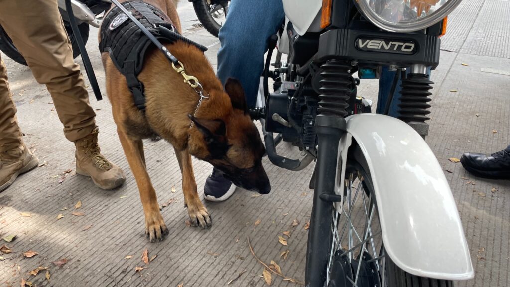 El Operativo Centinela tiene como objetivo principal detectar vehículos con reporte de robo, identificar unidades utilizadas en posibles actos delictivos, y verificar que los conductores cuenten con documentación vigente y equipo de seguridad obligatorio.