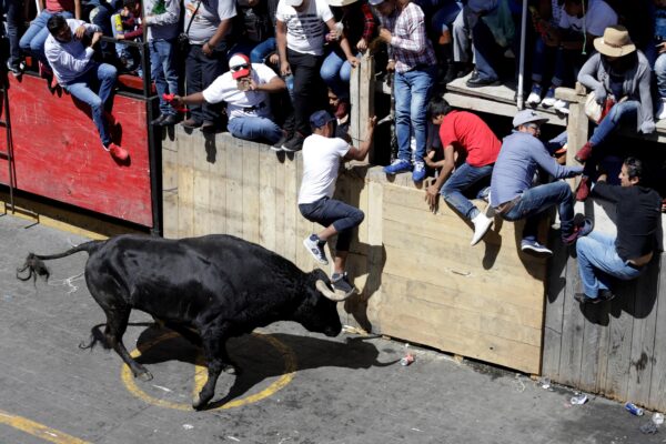 La Huamantlada 2025 se realizará el sábado 23 de agosto con 18 toros bravos en un circuito controlado.
