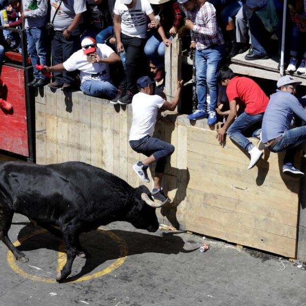 La Huamantlada 2025 se realizará el sábado 23 de agosto con 18 toros bravos en un circuito controlado.