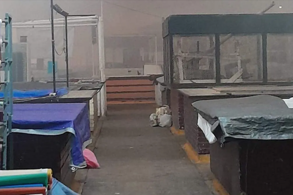 Fumigación sorpresa en mercado La Purísima provoca pérdidas y malestar entre comerciantes.