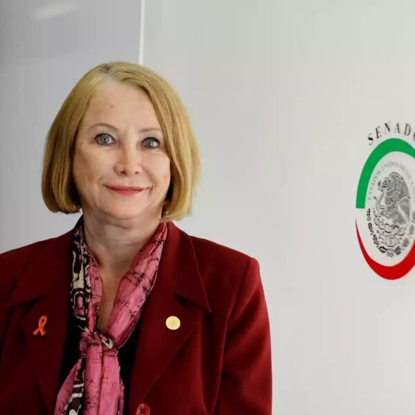 La senadora Laura Itzel Castillo Juárez fue designada por unanimidad
