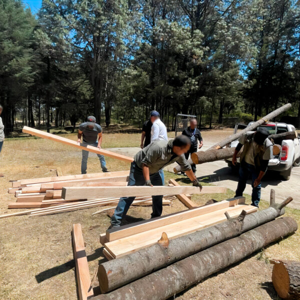 Autoridades de Tlaxcala localizaron y aseguraron tres hornos clandestinos en La Malinche, usados para tala ilegal y producción de carbón. Foto: Gob MX.
