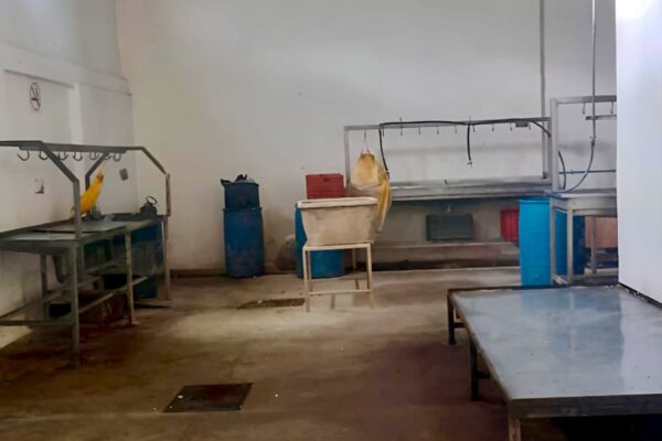 El rastro municipal de San Martín Texmelucan opera bajo estrictos procedimientos sanitarios.