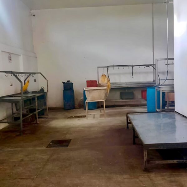 El rastro municipal de San Martín Texmelucan opera bajo estrictos procedimientos sanitarios.