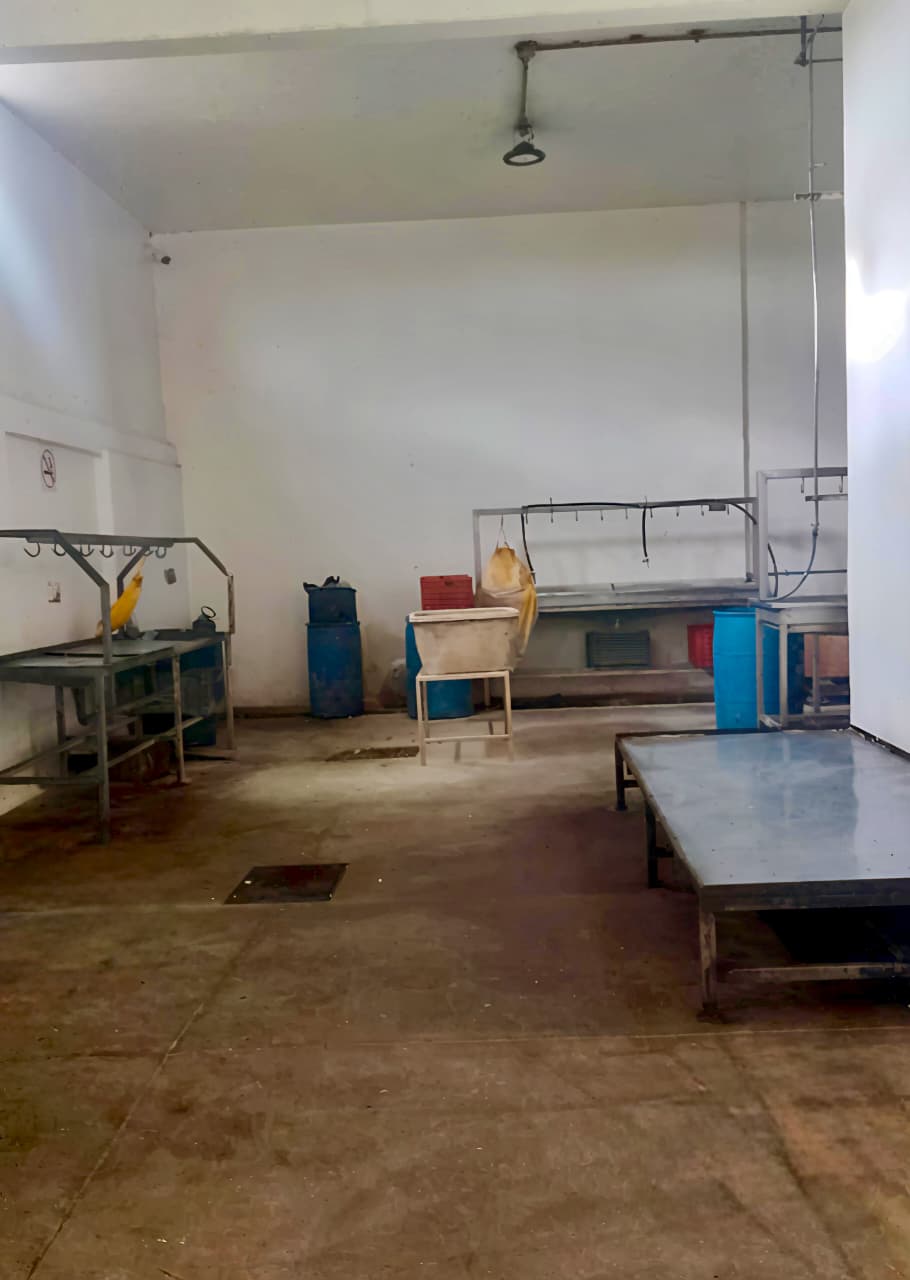 El rastro municipal de San Martín Texmelucan opera bajo estrictos procedimientos sanitarios.