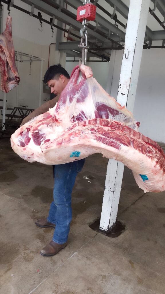 El rastro municipal de San Martín Texmelucan opera bajo estrictos procedimientos sanitarios.