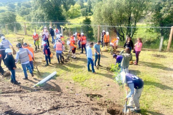 Gobierno de Puebla produce composta para reforestación.