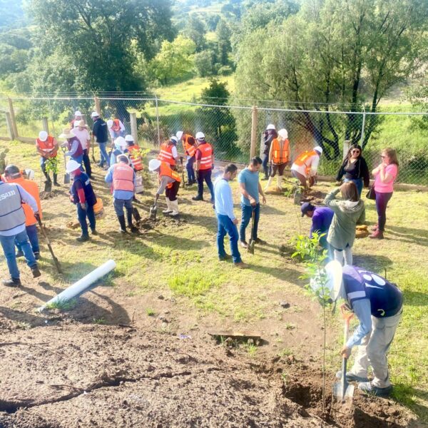 Gobierno de Puebla produce composta para reforestación.
