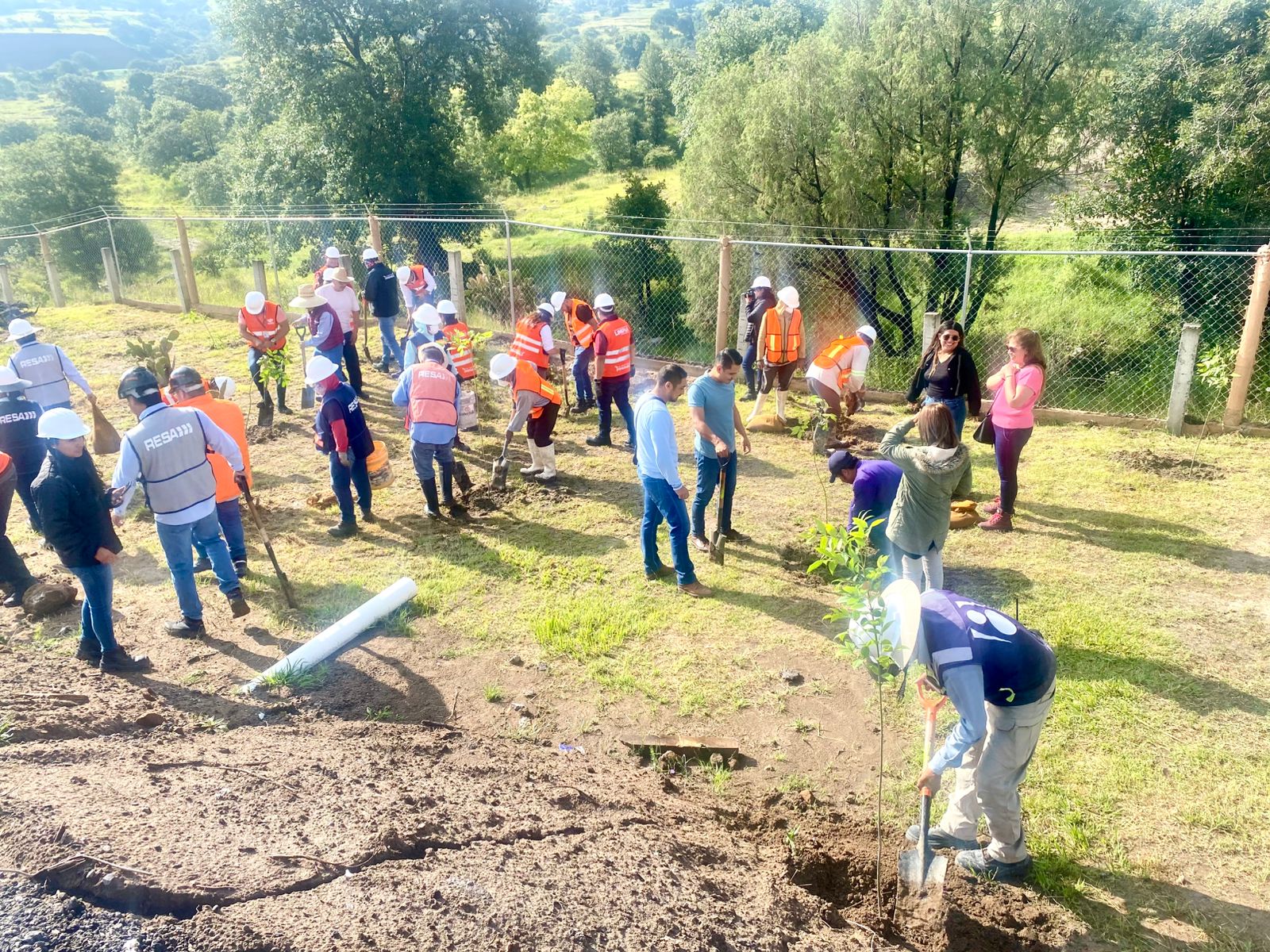 Gobierno de Puebla produce composta para reforestación.