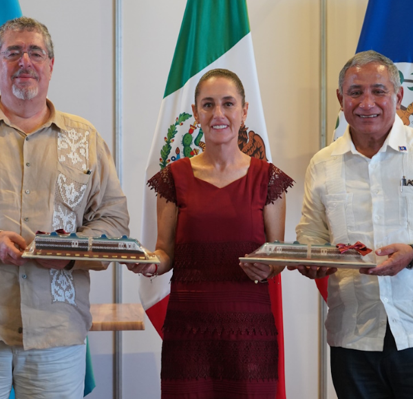 México, Belice y Guatemala unirán esfuerzos para proteger la segunda selva tropical más grande del continente con el Corredor Biocultural Gran Selva Maya. Foto: Gib MX.