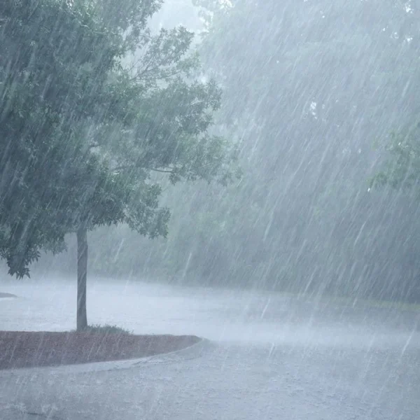 El SMN alerta por lluvias intensas en Puebla, Nuevo León, Tamaulipas y Guanajuato. Foto: Meteored.