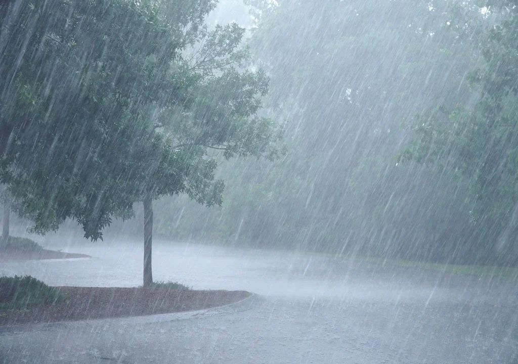 El SMN alerta por lluvias intensas en Puebla, Nuevo León, Tamaulipas y Guanajuato. Foto: Meteored.
