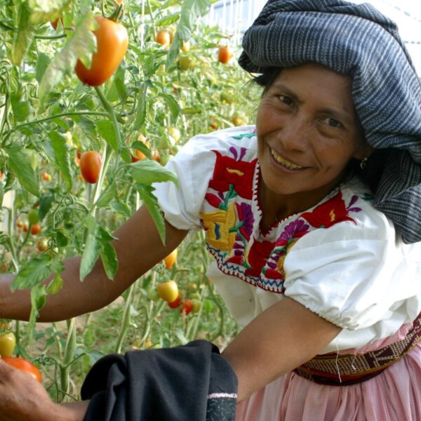 El Programa Mujer Rural Emprendedora .