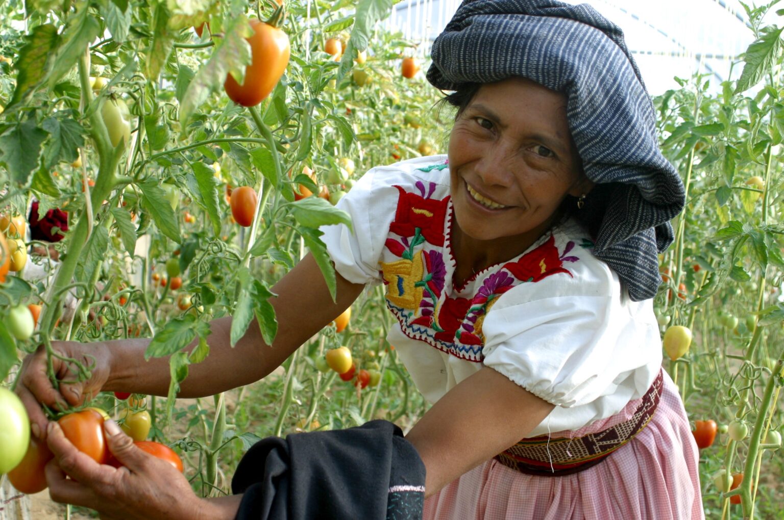 El Programa Mujer Rural Emprendedora .