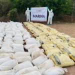 La producción clandestina de drogas en México se ha intensificado, con narcolaboratorios cada vez más frecuentes en zonas apartadas