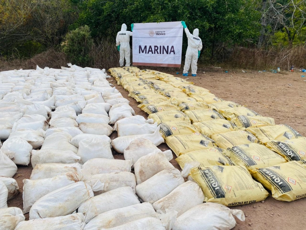 La producción clandestina de drogas en México se ha intensificado, con narcolaboratorios cada vez más frecuentes en zonas apartadas
