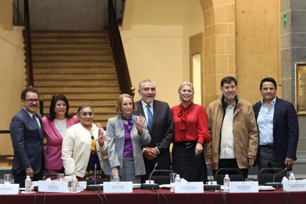 La senadora Laura Itzel Castillo Juárez fue designada por unanimidad