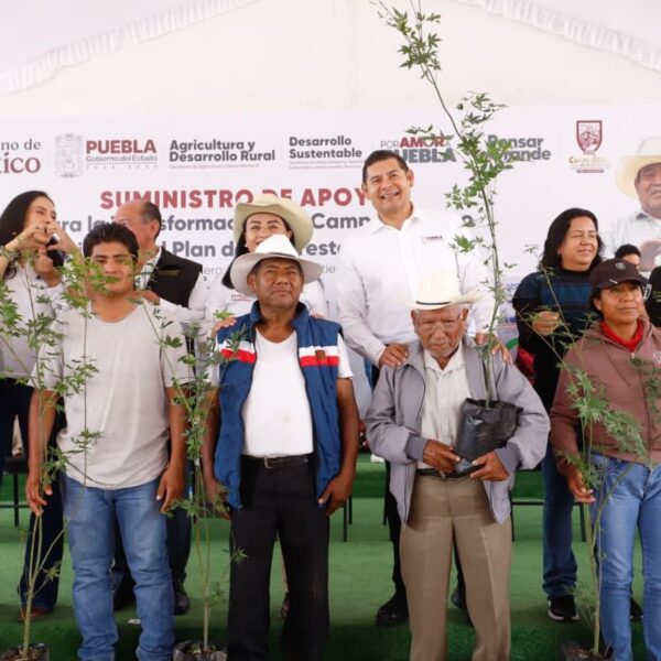 El gobernador Alejandro Armenta puso en marcha el Plan de Reforestación 2025, que beneficiará a nueve municipios y 5 mil 900 hectáreas de superficie forestal. Foto: Gob Puebla.
