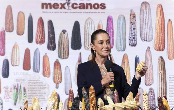 En Cuauhtémoc, Ciudad de México. 29 de septiembre 2025. La presidenta constitucional de los Estados Unidos Mexicanos, la Doctora Claudia Sheinbaum Pardo en conferencia de prensa matutina en el salón de la Tesorería de Palacio Nacional. La acompañan: Ariadna Montiel, secretaria de Bienestar; Efraín Morales López, Director General de la Comisión Nacional del Agua (CONAGUA); Alicia Bárcena, secretaria de Medio Ambiente y Recursos Naturales; Marath Bolaños López, secretario del Trabajo y Previsión Social; Pamela López, Directora de la Escuela es Nuestra; Julia Cuauhtémoc, Ciudad de México. 29 de septiembre 2025. La presidenta constitucional de los Estados Unidos Mexicanos, la Doctora Claudia Sheinbaum Pardo en conferencia de prensa matutina en el salón de la Tesorería de Palacio Nacional. La acompañan: Ariadna Montiel, secretaria de Bienestar; Efraín Morales López, Director General de la Comisión Nacional del Agua (CONAGUA); Alicia Bárcena, secretaria de Medio Ambiente y Recursos Naturales; Marath Bolaños López, secretario del Trabajo y Previsión Social; Pamela López, Directora de la Escuela es Nuestra; Julia Álvarez Icaza Ramírez, secretaria del Medio Ambiente de la Ciudad de México; Iván Escalante, Procurador Federal del Consumidor (Profeco); Diana Aurora Correa, subdirectora de Diseño Digital y Medios Sociales en la Unidad de Memoria Histórica. Foto: Juan Carlos Buenrostro/Presidencia