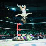 Hawlucha, Machamp y hasta Togepi se subieron al ring en la Arena Pokémon