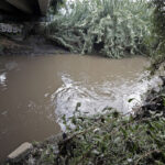 Rescate del río Atoyac. Foto: PueblaOnline.