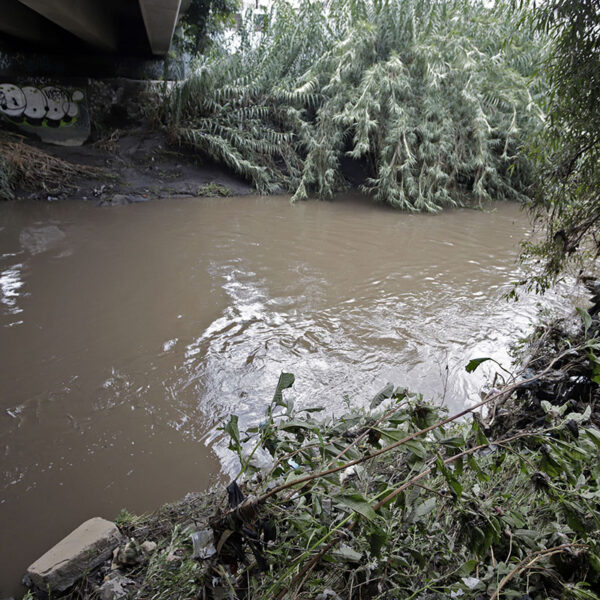 Rescate del río Atoyac. Foto: PueblaOnline.