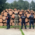 Autoridades de Puebla y Tlaxcala aseguraron madera presuntamente de tala clandestina en operativos conjuntos. Foto: Urbano Noticias.