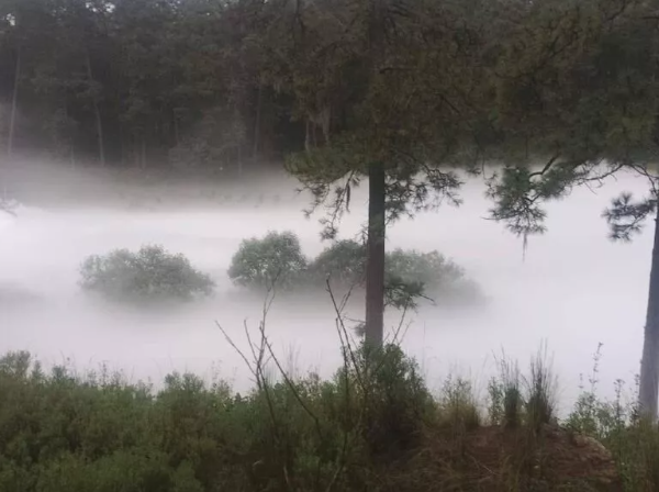 Habitantes de Nanacamilpa fueron evacuados por una fuga de gas en ductos de Pemex. Foto: UNO TV.
