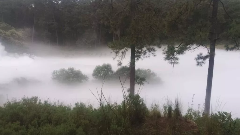 Habitantes de Nanacamilpa fueron evacuados por una fuga de gas en ductos de Pemex. Foto: UNO TV.