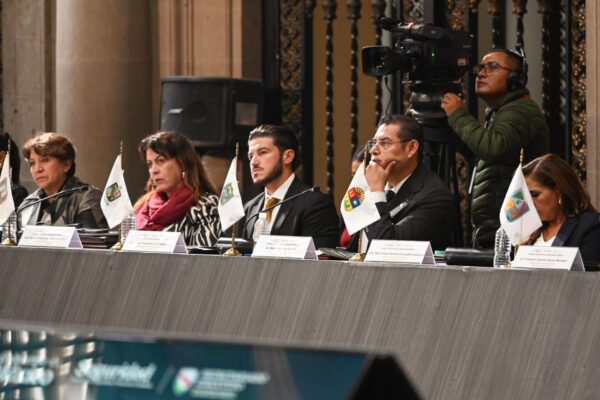 Seguridad Pública la reducción de fem*nicidi*s