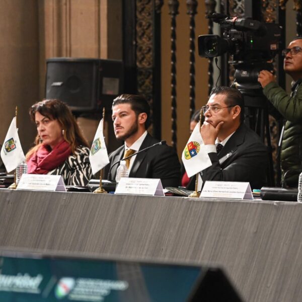 Seguridad Pública la reducción de fem*nicidi*s
