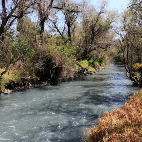 Con 395 millones de pesos en 2025 y 1,500 millones para 2026, el plan de rescate del río Atoyac contempla plantas de tratamiento, biodigestores y la eliminación de 210 descargas clandestinas. Foto: Síntesis Nacional.