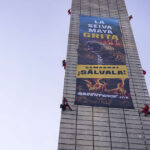 Tras la protesta de Greenpeace, “La Selva Maya grita. Semarnat, sálvala”, el gobierno federal prometió nuevas acciones para proteger al jaguar y los bosques; activistas exigen participación real de comunidades. Foto: Greenpeace.