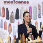 En Cuauhtémoc, Ciudad de México. 29 de septiembre 2025. La presidenta constitucional de los Estados Unidos Mexicanos, la Doctora Claudia Sheinbaum Pardo en conferencia de prensa matutina en el salón de la Tesorería de Palacio Nacional. La acompañan: Ariadna Montiel, secretaria de Bienestar; Efraín Morales López, Director General de la Comisión Nacional del Agua (CONAGUA); Alicia Bárcena, secretaria de Medio Ambiente y Recursos Naturales; Marath Bolaños López, secretario del Trabajo y Previsión Social; Pamela López, Directora de la Escuela es Nuestra; Julia Cuauhtémoc, Ciudad de México. 29 de septiembre 2025. La presidenta constitucional de los Estados Unidos Mexicanos, la Doctora Claudia Sheinbaum Pardo en conferencia de prensa matutina en el salón de la Tesorería de Palacio Nacional. La acompañan: Ariadna Montiel, secretaria de Bienestar; Efraín Morales López, Director General de la Comisión Nacional del Agua (CONAGUA); Alicia Bárcena, secretaria de Medio Ambiente y Recursos Naturales; Marath Bolaños López, secretario del Trabajo y Previsión Social; Pamela López, Directora de la Escuela es Nuestra; Julia Álvarez Icaza Ramírez, secretaria del Medio Ambiente de la Ciudad de México; Iván Escalante, Procurador Federal del Consumidor (Profeco); Diana Aurora Correa, subdirectora de Diseño Digital y Medios Sociales en la Unidad de Memoria Histórica. Foto: Juan Carlos Buenrostro/Presidencia
