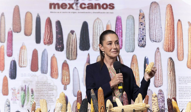 En Cuauhtémoc, Ciudad de México. 29 de septiembre 2025. La presidenta constitucional de los Estados Unidos Mexicanos, la Doctora Claudia Sheinbaum Pardo en conferencia de prensa matutina en el salón de la Tesorería de Palacio Nacional. La acompañan: Ariadna Montiel, secretaria de Bienestar; Efraín Morales López, Director General de la Comisión Nacional del Agua (CONAGUA); Alicia Bárcena, secretaria de Medio Ambiente y Recursos Naturales; Marath Bolaños López, secretario del Trabajo y Previsión Social; Pamela López, Directora de la Escuela es Nuestra; Julia Cuauhtémoc, Ciudad de México. 29 de septiembre 2025. La presidenta constitucional de los Estados Unidos Mexicanos, la Doctora Claudia Sheinbaum Pardo en conferencia de prensa matutina en el salón de la Tesorería de Palacio Nacional. La acompañan: Ariadna Montiel, secretaria de Bienestar; Efraín Morales López, Director General de la Comisión Nacional del Agua (CONAGUA); Alicia Bárcena, secretaria de Medio Ambiente y Recursos Naturales; Marath Bolaños López, secretario del Trabajo y Previsión Social; Pamela López, Directora de la Escuela es Nuestra; Julia Álvarez Icaza Ramírez, secretaria del Medio Ambiente de la Ciudad de México; Iván Escalante, Procurador Federal del Consumidor (Profeco); Diana Aurora Correa, subdirectora de Diseño Digital y Medios Sociales en la Unidad de Memoria Histórica. Foto: Juan Carlos Buenrostro/Presidencia