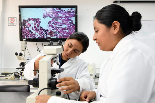 En menos de una década, la Facultad de Enfermería BUAP multiplicó por 14 su presencia en el Sistema Nacional de Investigadoras e Investigadores.