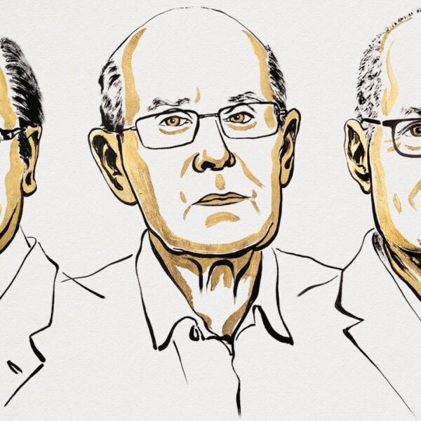 Nobel de Química: para 3 creadores de estructuras metalorgánicas