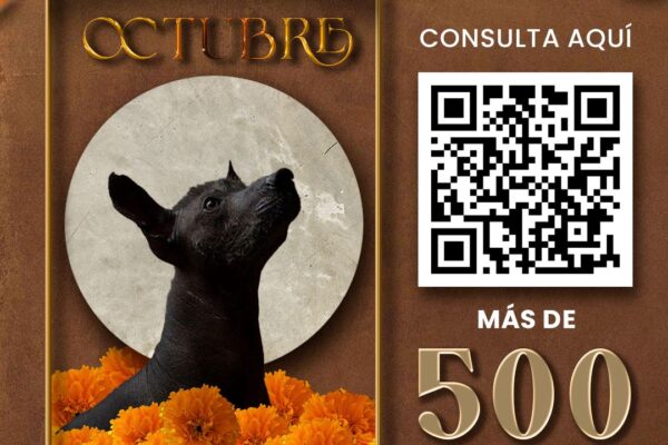 El IMACP presentó la agenda cultural de octubre con más de 500 actividades en Puebla, entre festivales, exposiciones, ferias y tradiciones que marcan la temporada.