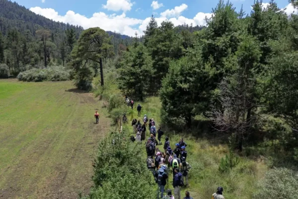 En solo tres meses, tres personas han desaparecido en la zona del Ajusco