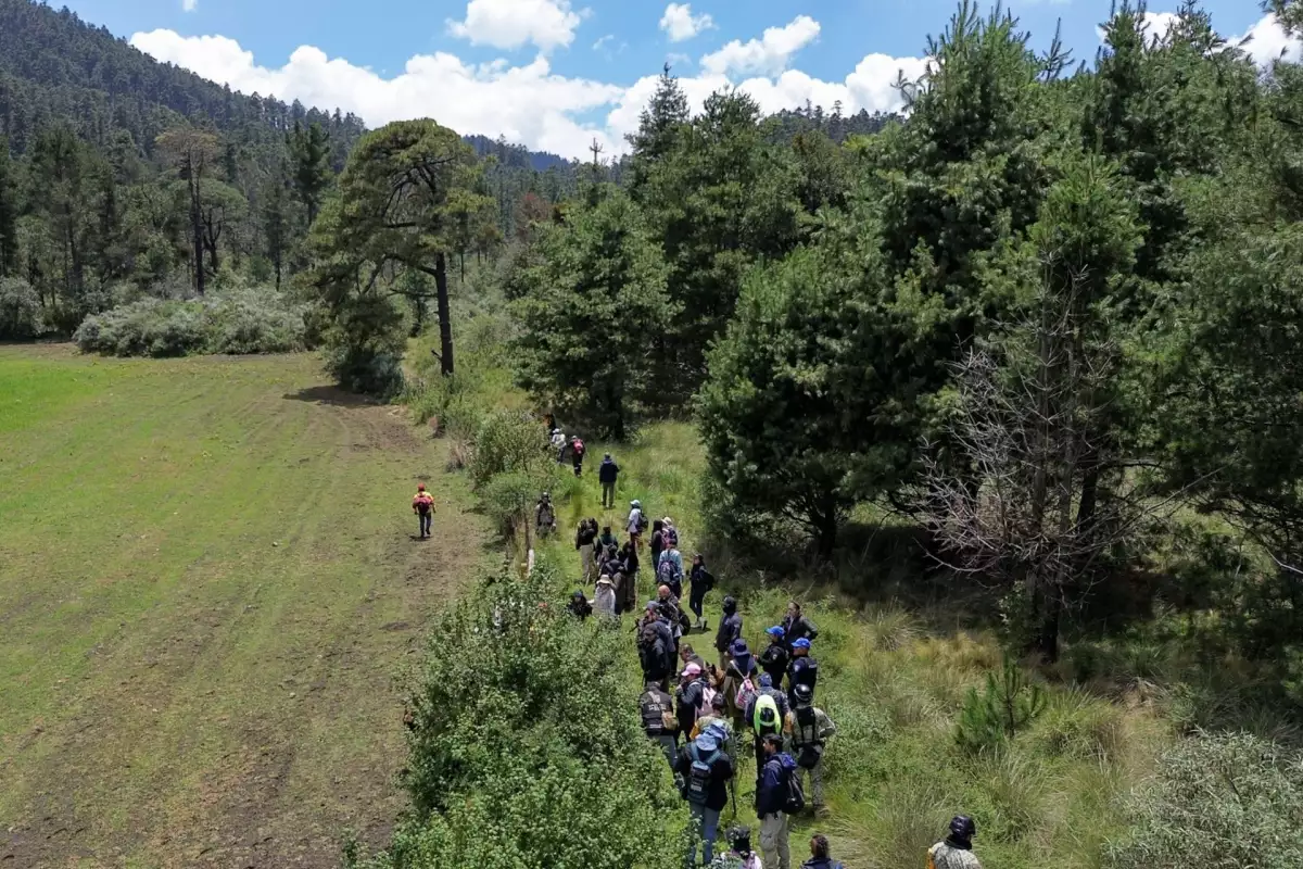Alertan por desapariciones en el Ajusco; familiares lo consideran “foco rojo” en CDMX