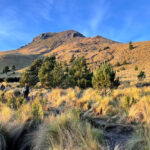 La SEMARNAT dio luz verde al Ecoparque Tlalli Malinche