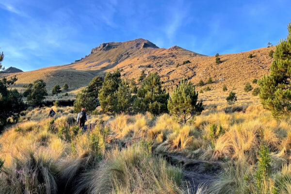 La SEMARNAT dio luz verde al Ecoparque Tlalli Malinche