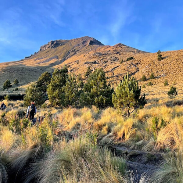 La SEMARNAT dio luz verde al Ecoparque Tlalli Malinche