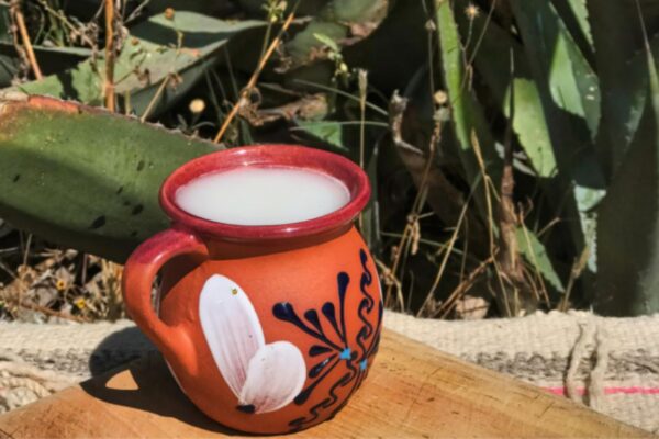 La Feria del Pulque 2025 llega al Centro Histórico. Foto: Dónde ir.