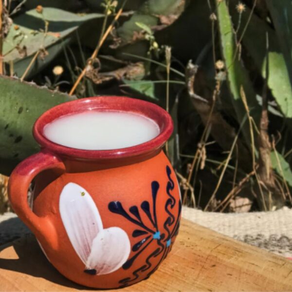 La Feria del Pulque 2025 llega al Centro Histórico. Foto: Dónde ir.