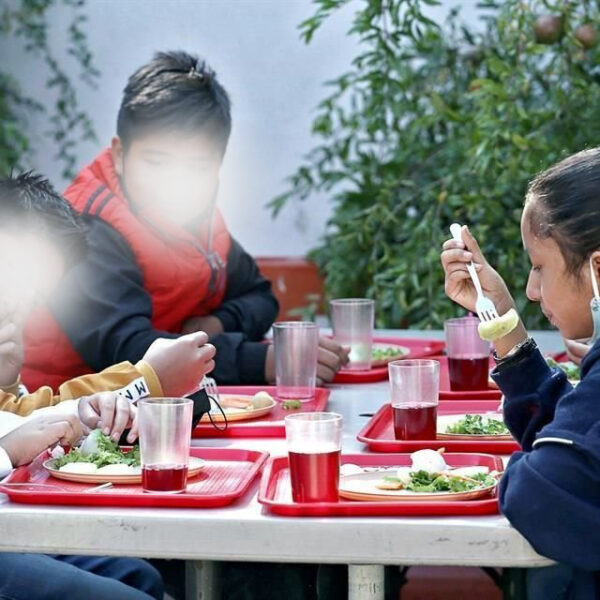 El DIF Nacional destinó 18 mil millones de pesos para fortalecer la seguridad alimentaria en el país.