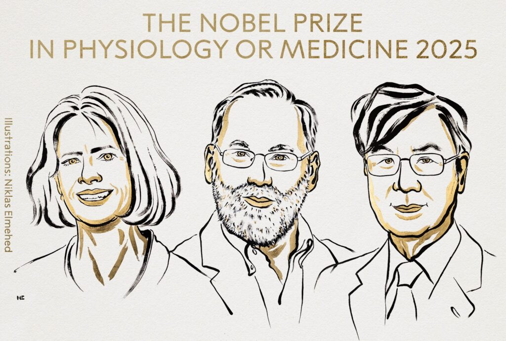 Brunkow, Ramsdell y Sakaguchi ganan el Nobel de Medicina 2025 por sus aportes a la tolerancia inmunitaria periférica