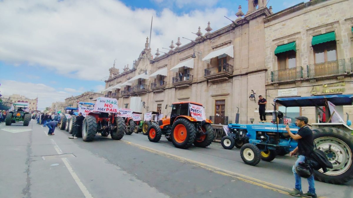 Productores de maíz de Jalisco, Guanajuato y Michoacán iniciarán este lunes 27 de octubre bloqueos y protestas en carreteras y casetas del país, para exigir al gobierno federal un precio de garantía. FOTO: Charbell Lucio.